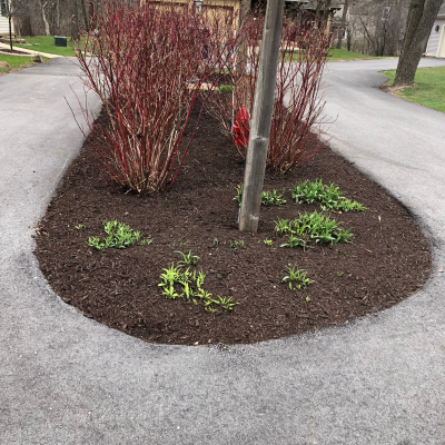 Condo Association Landscaping and Lawn Maintenance