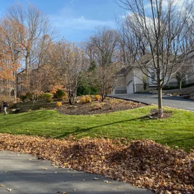 life-genie-content-home-04-600h