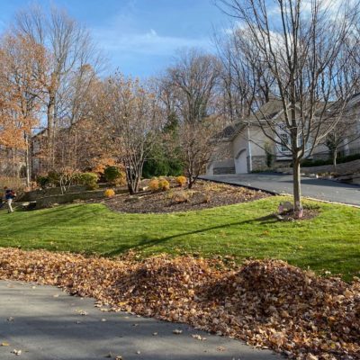 life-genie-content-home-04