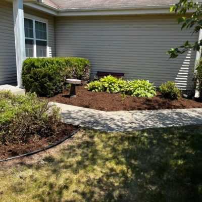 life-genie-llc-gallery-05-1200w