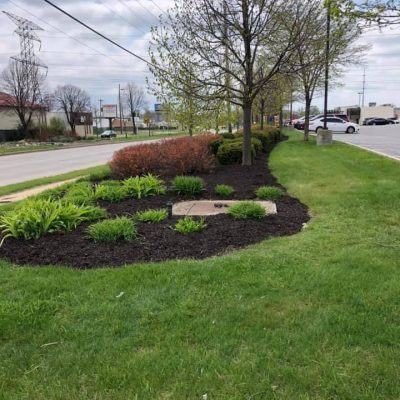 life-genie-llc-gallery-16-1200w