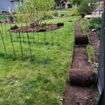 life-genie-llc-gallery-17-1920w