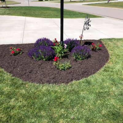 life-genie-llc-gallery-19-1600h