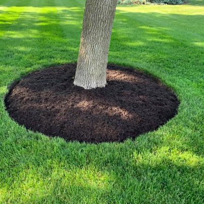 life-genie-llc-gallery-20