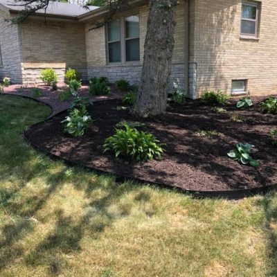 life-genie-llc-gallery-27-1200w