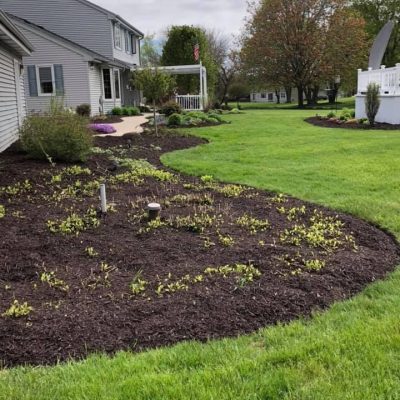 life-genie-llc-gallery-29-1920w