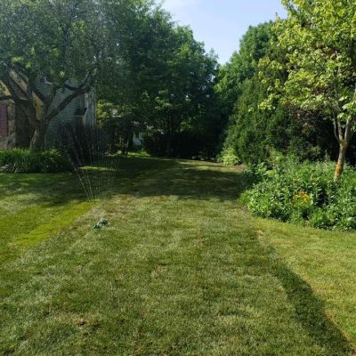 life-genie-llc-gallery-31-1200w