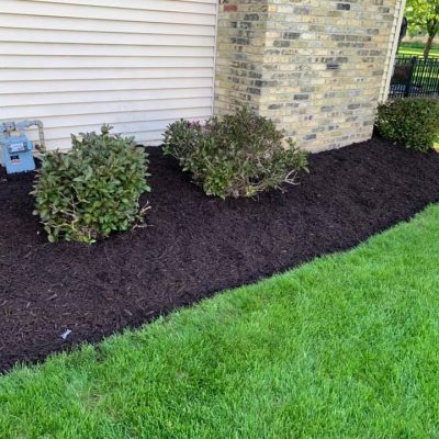 life-genie-llc-gallery-36-1200w