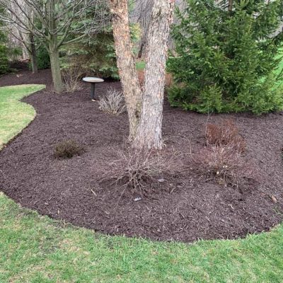 life-genie-llc-gallery-39-1200w