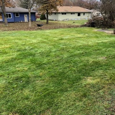 life-genie-llc-gallery-46-1600h