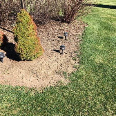 life-genie-llc-gallery-49