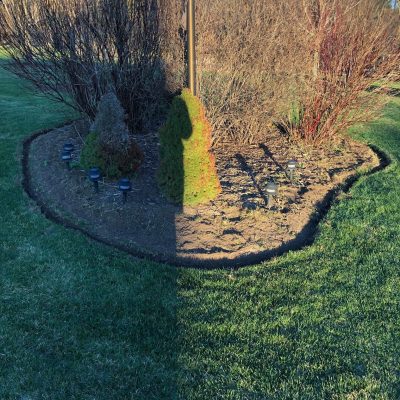 life-genie-llc-gallery-53