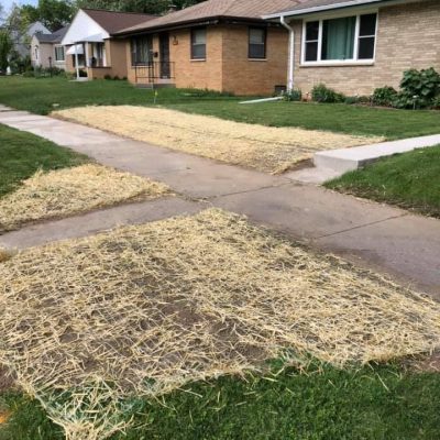 life-genie-llc-gallery-55-1200w