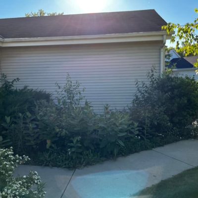 life-genie-llc-gallery-58-1600h